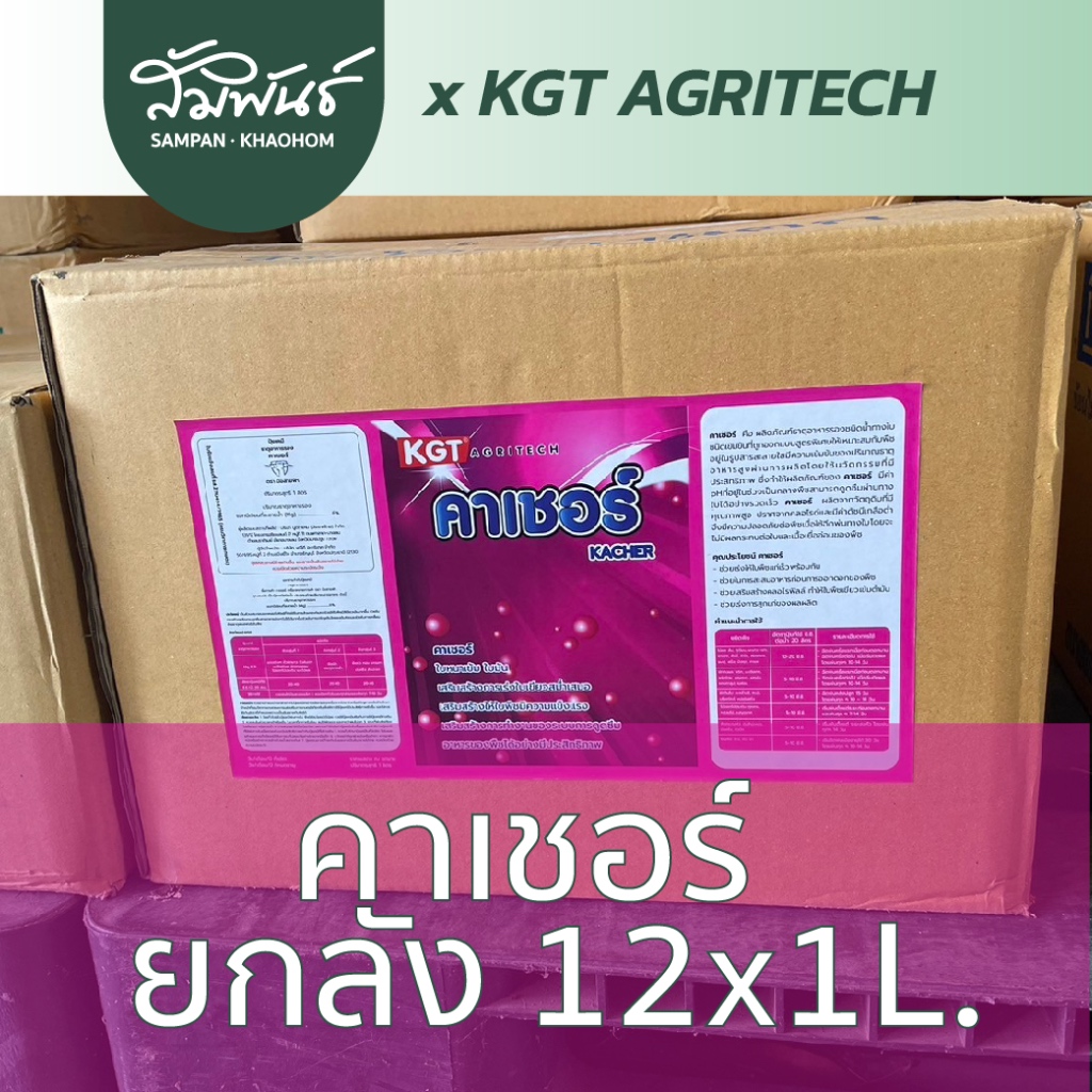 คาเชอร์ แมกนีเซียม KGT ยกลัง  ของแท้ ! สินค้ายกลัง 12 ขวด x 1 ลิตร !!!!