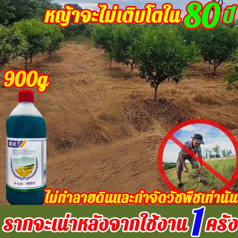 💥80 ปี ปลอดวัชพืช💥ยา ฆ่า หญ้า ยาฆ่าหญ้า ย่าฆ่าหญ้า ฆ่าหญ้า กําจัดหญ้า ยาคุมหญ้า รากเน่าเร็ว อัตราการกำจัดวัชพืช 99.99%