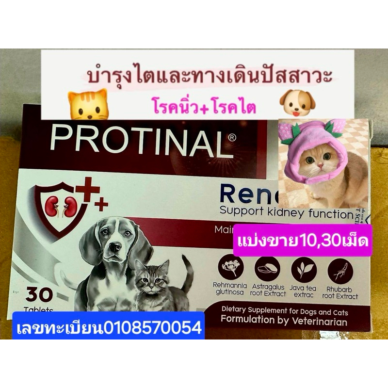 protinalวิตามินบํารุงไตและกระเพาะปัสสาวะ สำหรับสุนัขและแมวที่เป็นนิ่วและไต