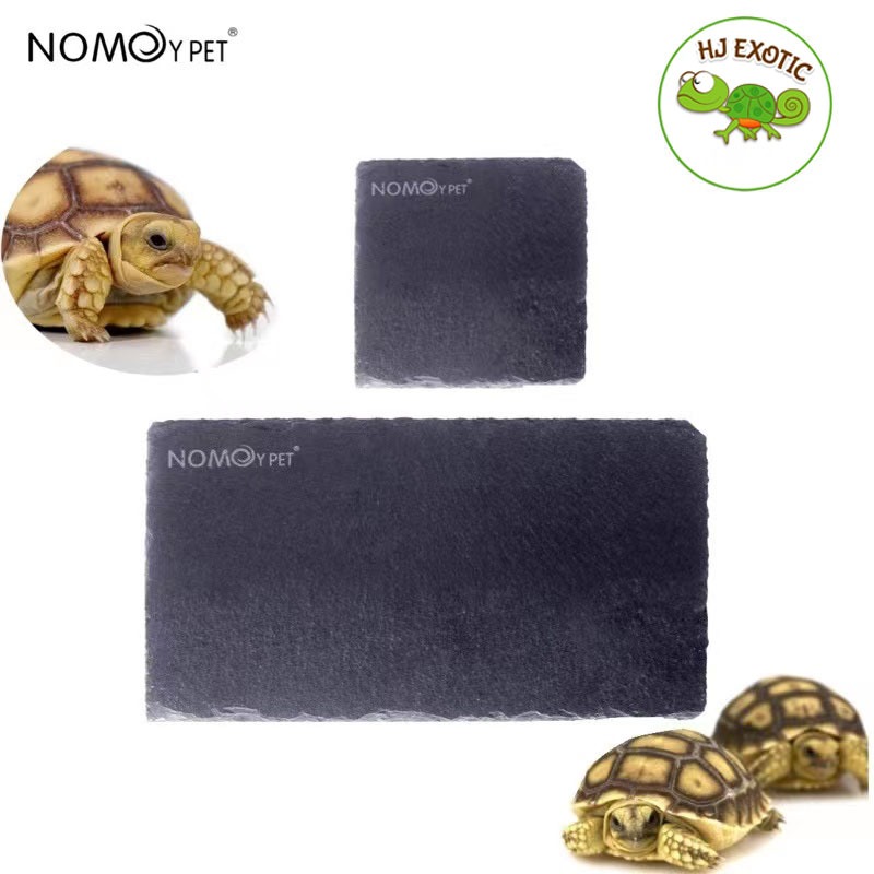 NomoyPet จานหิน ลดการเกิดจงอยปาก และเล็บยาวผิดรูป ถาดอาหารเต่าบก แบบสี่เหลี่ยมพร้อมส่งอยู่ไทย