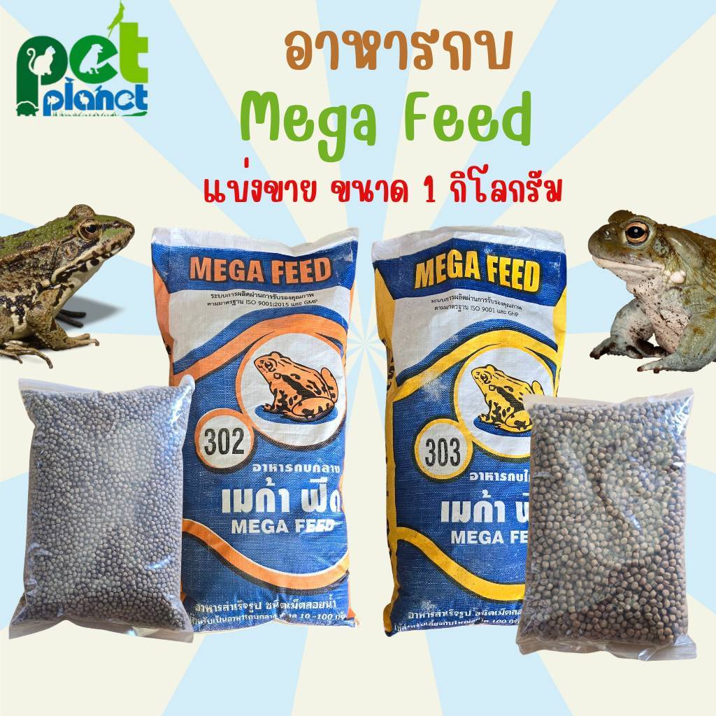 [1kg.] อาหารกบ MegaFeed เมก้าฟีด อาหารสำหรับ กบเลี้ยง เม็ดลอยน้ำ โปรตีนสูง