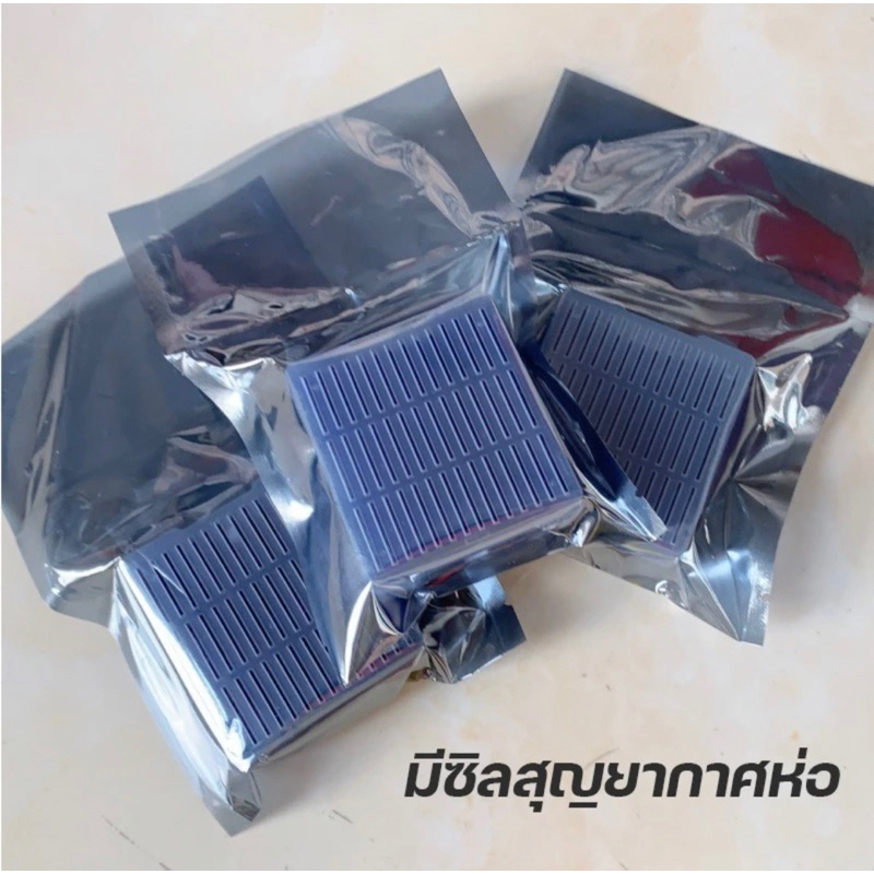 รูปภาพ 2