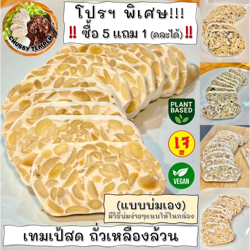 เทมเป้สด(แบบบ่มเอง) ถั่วเหลืองล้วน💛✨(5แถม1) 100g #Tempeh #โปรตีนจากพืช #เจ #PlantBased