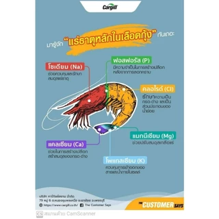 อาหารกุ้ง พรีเมี่ยม เร่งโต เร่งสี 1Kg โปรตีนสูงกว่า โตเร็วกว่า ป้องกันโรคดีเยี่ยม กลิ่มหอมขึ้น