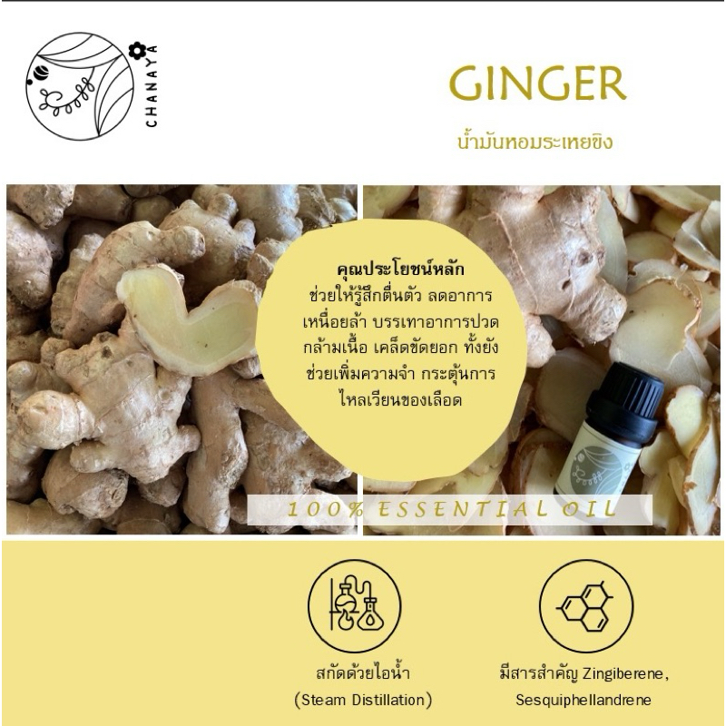 น้ำมันหอมระเหยขิง ชานาญา CHANAYA Ginger 100% Essential Oil