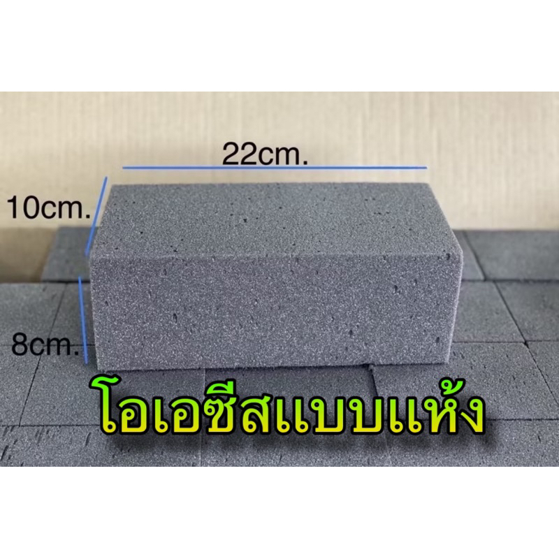 โอเอซีส ปักดอกไม้ปลอม
