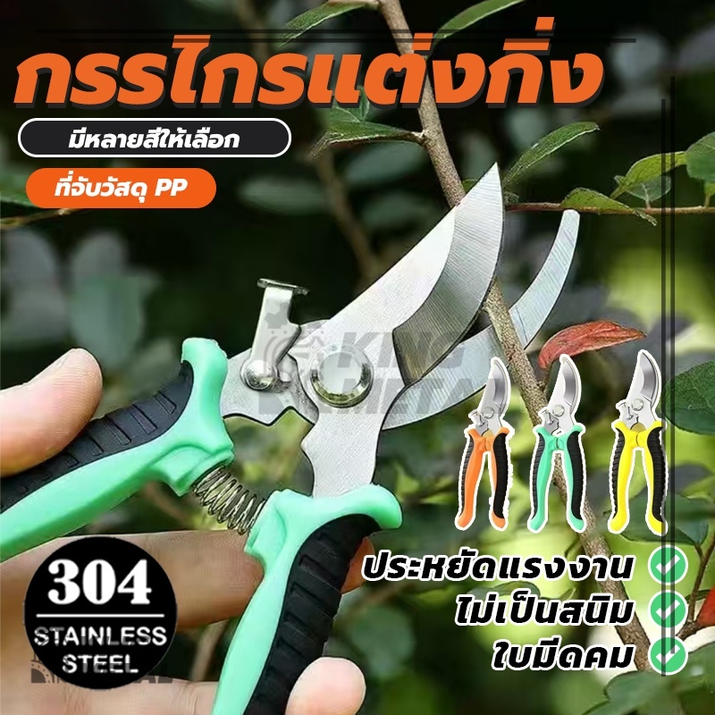 ราคาถูก กรรไกรแต่งกิ่ง กรรไกรสแตนเลส แต่งกิ่ง ตอนกิ่ง กรรไกรบอนไซ (พร้อมส่ง) - รูปที่ 3
