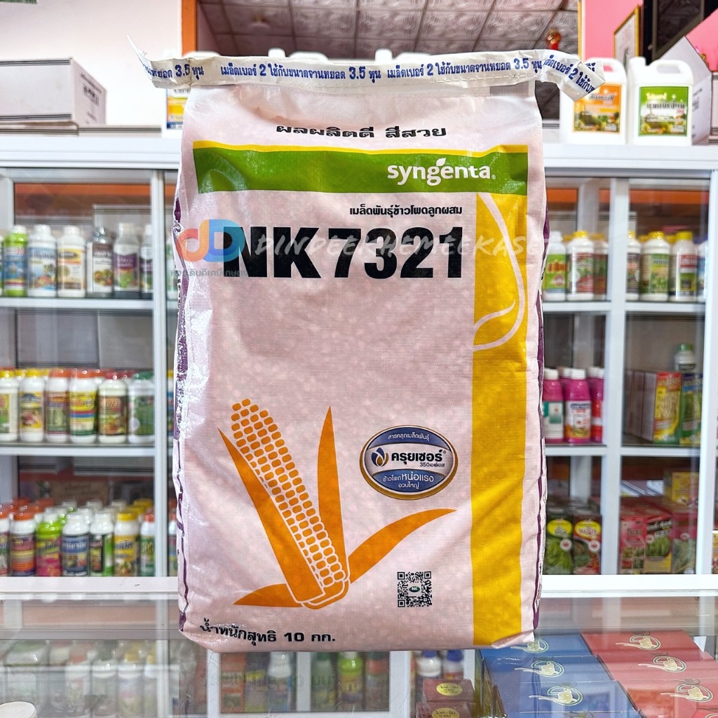 เมล็ดพันธุ์ข้าวโพดเลี้ยงสัตว์ NK 7321 : ขนาด 10 กก. (3.5หุน) ผลผลิตดี สีสวย