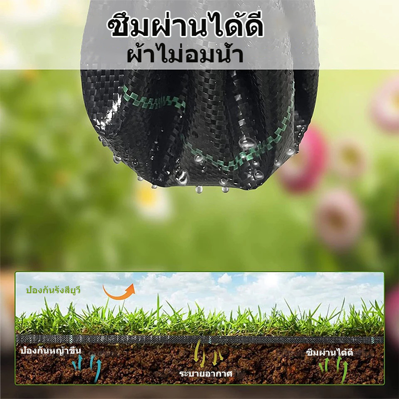 COD พลาสติกคลุมดิน (เกรด A)คลุมวัชพืช กำจัดหญ้า ป้องกันรังสีUVหมดปัญหาหญ้าขึ้นกวน พลาสติกคลุมหญ้า พลาสติกคลุมวัชพืช - รูปที่ 6