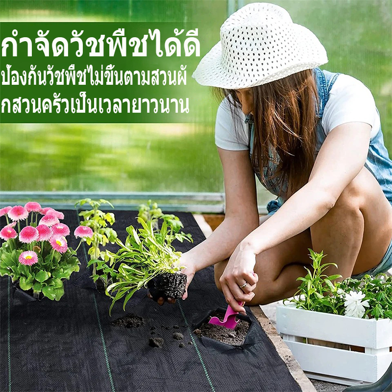 COD พลาสติกคลุมดิน (เกรด A)คลุมวัชพืช กำจัดหญ้า ป้องกันรังสีUVหมดปัญหาหญ้าขึ้นกวน พลาสติกคลุมหญ้า พลาสติกคลุมวัชพืช - รูปที่ 7