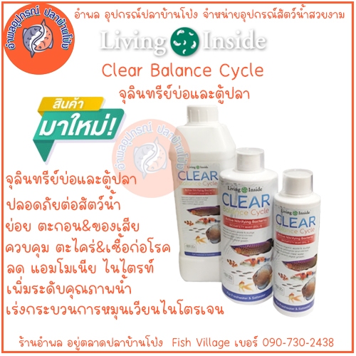 Living Inside Clear Balance Cycle จุลินทรีย์ แบคทีเรีย บ่อปลาตู้ปลา น้ำใส ลดกลิ่นลดตะไคร่ย่อยของเสีย