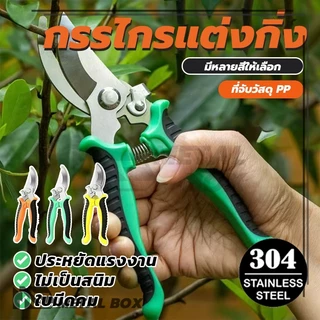 กรรไกรทำสวน กรรไกรสแตนเลส การคุ้มครองสิ่งแวดล้อมและสุขภาพ กรรไกรสำหรับตัดแต่งกิ่งไม้ เครื่องมือจัดทำสวน น้ำหนักเบา