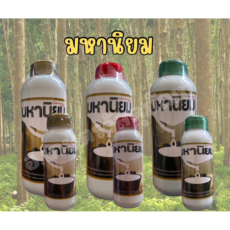 ทายาหน้ายาง มหานิยม ยาเร่งน้ำยางพารา แถมแปรงฟรี