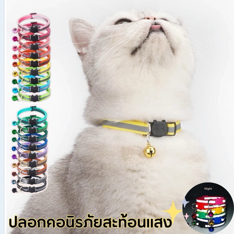 ปลอกคอแมว สลักชื่อฟรี🪄 ปลอกคอนิรภัยสะท้อนแสง