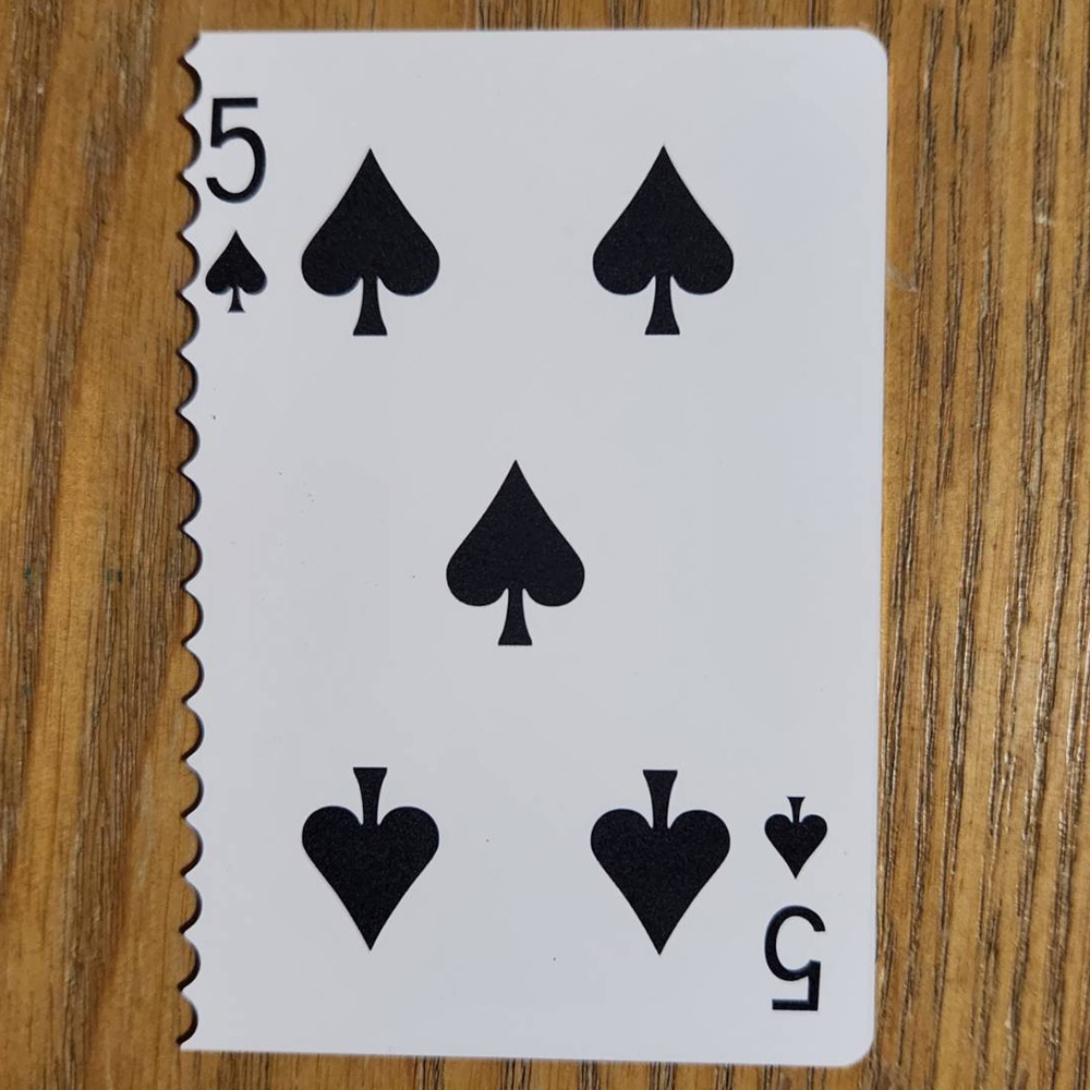Thumbnail 5