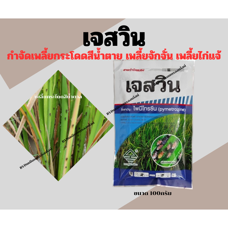 เจสวิน ขนาด100กรัม  สารไพมีโทรซีน 50%WG(สารเดียวกับเพลนั่ม) ควบคุมและกำจัดเพลี้ยกระโดดสีน้ำตาลในนาข้าวได้เฉียบขาด