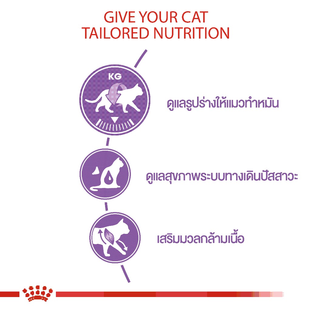 Royal canin รอยัลคานิน อาหารเม็ดสำหรับแมว สูตร Sterilised ขนาด 400g — صورة 6