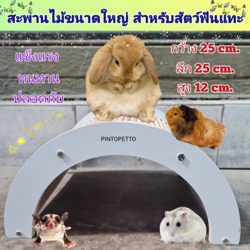 สะพานไม้ สะพานโค้งสำหรับสัตว์เล็ก สำหรับกระต่าย แกสบี้ กระรอก และหนูต่างๆ (สะพานM)