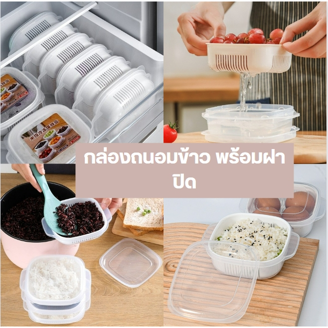 กล่องข้าวสาร กล่องถนอมข้าว พร้อมฝาปิด เข้าไมโครเวฟได้ เก็บความสดในตู้เย็น /กล่องล้างผลไม้ พร้อมตะกร้าระบายน้ํา พร้อมส่ง