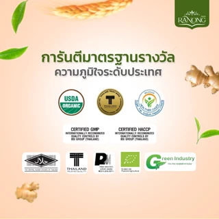 [🔥รวมทุกขนาด] Ranong เรนอง 🌱เครื่องดื่มขิงผงสำเร็จรูปรสเข้มข้น หวานน้อย น้ำขิง ขิงผง ขิงชง น้ำขิงชง