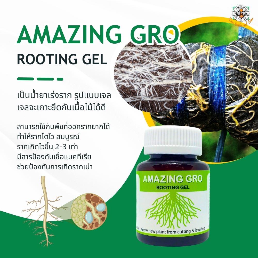 Amazing Gro Rooting Gel ช่วยในการเร่งราก ให้รากเกิดเร็วมากขึ้น
