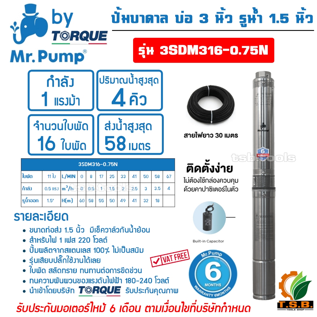 MR.PUMP (ซับเมอร์ส) ปั้มบาดาล ไฟ Ac 220V บ่อ 3 นิ้ว รูปที่ 3