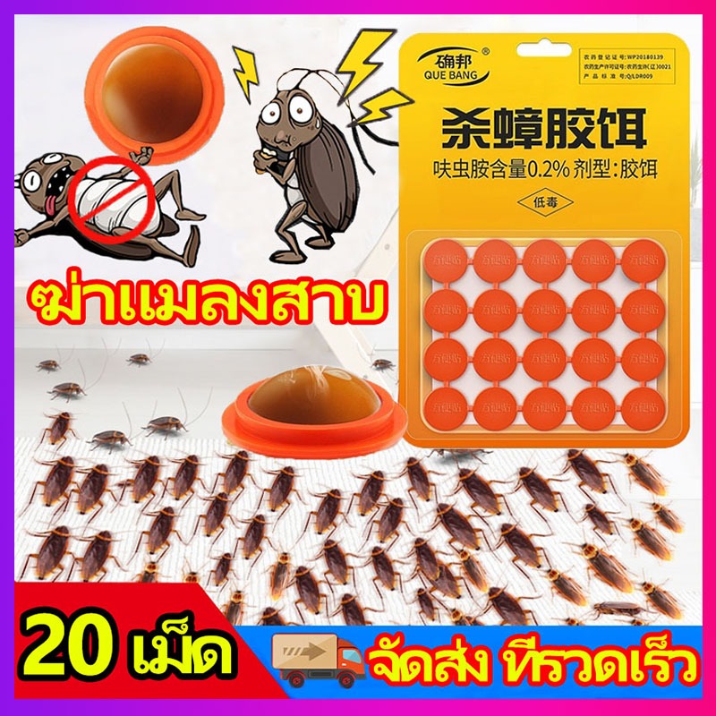 ยาฆ่าแมลงสาบ ฆ่าแมลงสาบ เจลกำจัดแมงสาบ ฆ่าแมลงสาบ เหยื่อกำจัดแมลงสาบ ยาฆ่าแมลงสาบ Insecticidal bait ราคา ถูกที่สุด ดีลบีเคเค