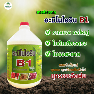 อะมิโนไอริน B1 ขนาด 4 ลิตร