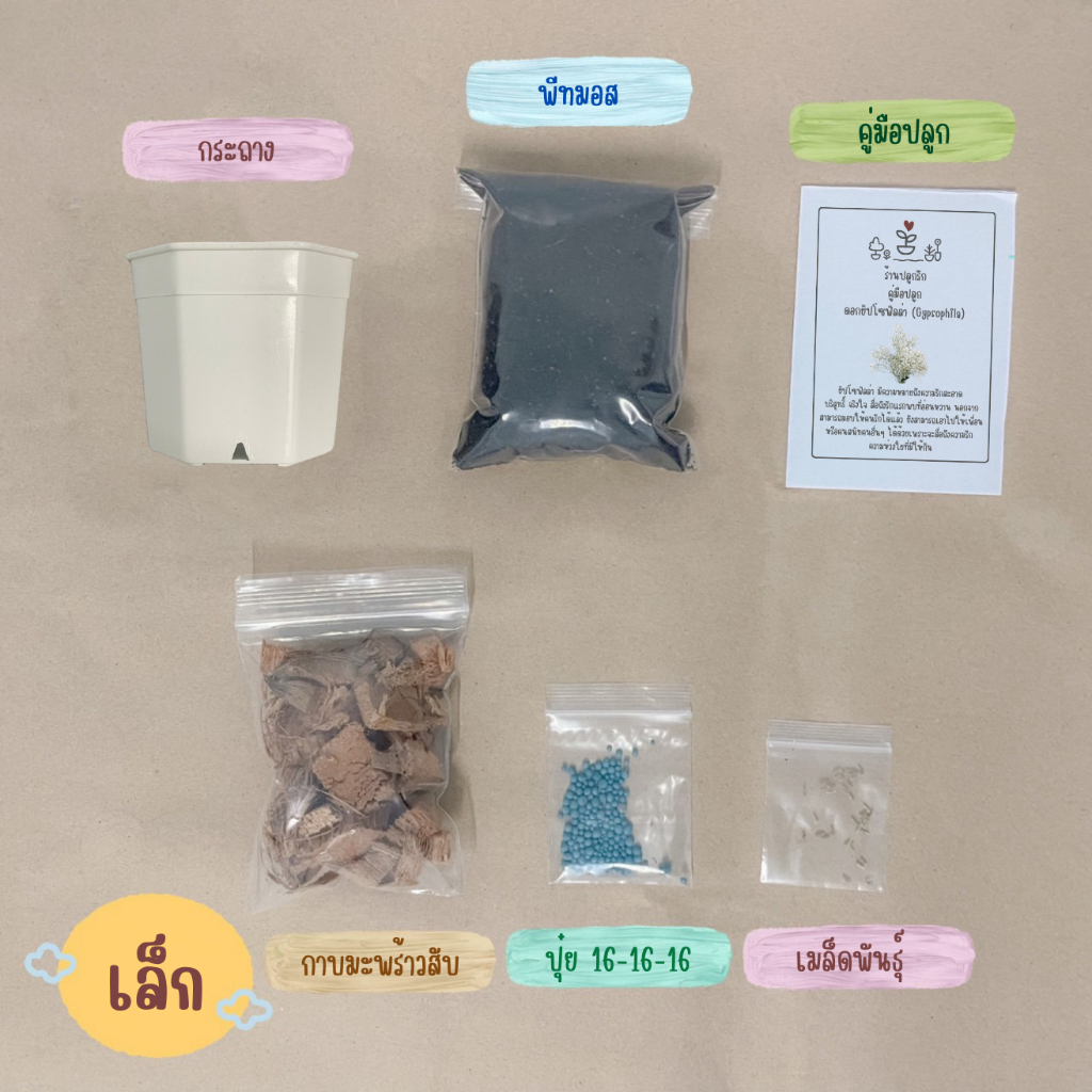 LXG : ชุดพร้อมปลูกยิปโซฟิลล่า (สีขาว) ชุดปลูกยิปโซฟิลล่า มี 3 ขนาด ราคาไม่แพงจ้า #ชุดปลูกดอกไม้ - รูปที่ 2