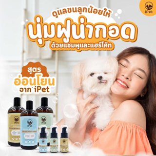 iPET เซ็ต ขนนุ่ม x ตัวหอม (แชมพู 500 มล + แฮร์โค้ท 35 มล); สูตรลดกลิ่นตัว, สูตรแอนตี้แบคทีเรีย, สูตรลดขนร่วง