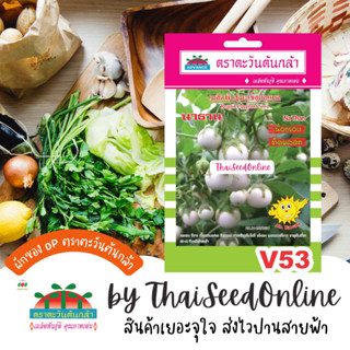 ADV ซฟ เมล็ดพันธุ์ มะเขือตอแหลนาธาน ตราตะวันต้นกล้า V53