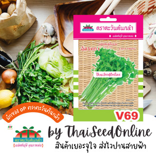 ADV ซฟ เมล็ดพันธุ์ คื่นฉ่าย ฉัตรทอง ตราตะวันต้นกล้า V69