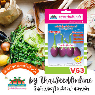 ADV ซฟ เมล็ดพันธุ์ มะเขือไข่เต่าม่วงรี ชมพูนุช ตราตะวันต้นกล้า V63