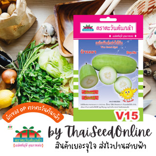 ADV ซฟ เมล็ดพันธุ์ แฟงไส้ต้น บ้านนา ตราตะวันต้นกล้า V15