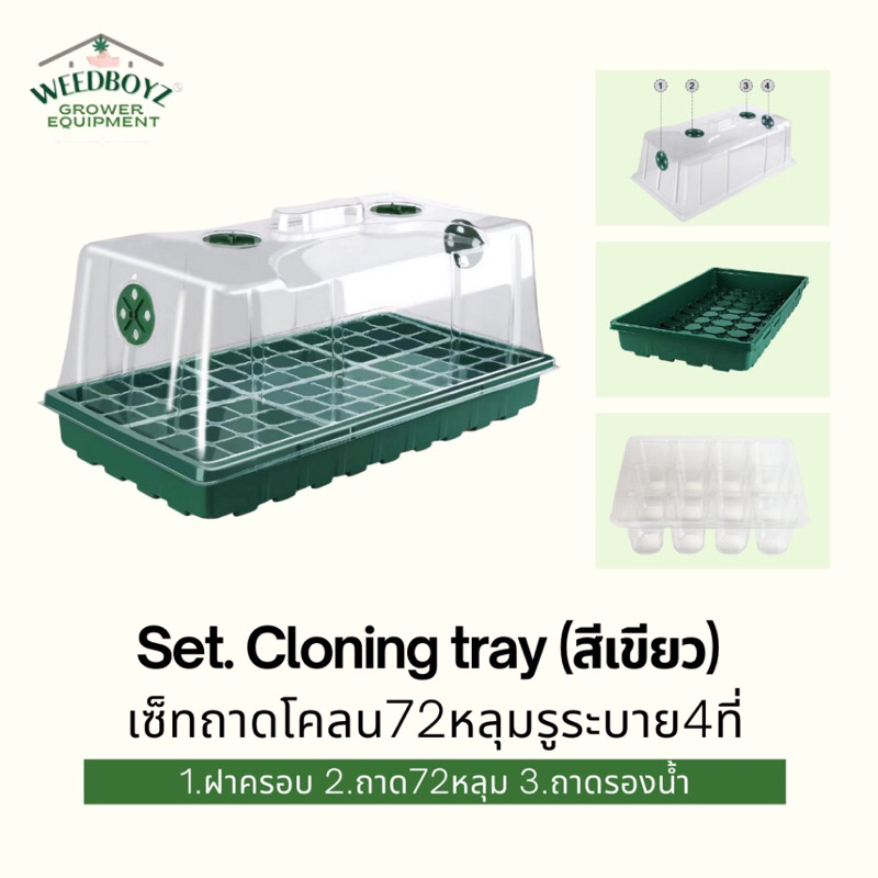 Set Cloning tray 72หลุม สีเขียว ถาดโคลน ถาดเพาะเมล็ด ปักชำกัญชา โคลนนิ่ง เพาะต้น Clone กล่องชำต้นไม้