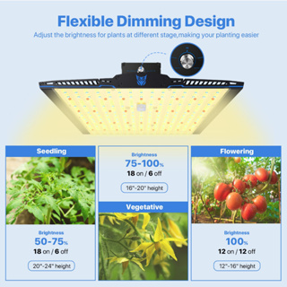 ไฟปลูกมือสองสภาพดี Famurs 250W Led Grow Light Spectrum เต็ม Quantum Board หรี่แสงได้ Led สำหรับโรงงานในร่ม Hydroponic