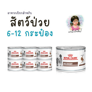 Royal Canin อาหารสุนัขและแมวประกอบการรักษา สำหรับระยะพักฟื้นและการดูแลหลังผ่าตัด ชนิดเปียก (RECOVERY) 6-12 กระป๋อง