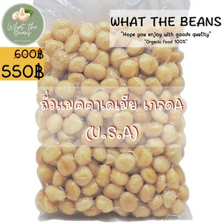 เนื้อแมคคาเดเมีย แกะเปลือกพร้อมทาน 500 กรัม อบ สด ใหม่ พร้อมทาน WHAT THE BEANS