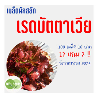 เมล็ดสลัด เรดบัตตาเวีย 100 เมล็ด 10 บาท งอกดีมีคู่มือในการปลูก