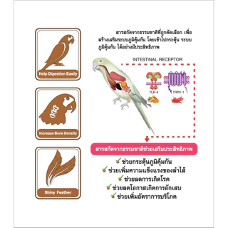 อาหารนกสำเร็จรูป Healthy Bird (นกกรงหักจุก,หงส์หยก,เลิฟเบิร์ด,นกแก้ว) ขนาด 800 กรัม จำนวน 1 กระปุก