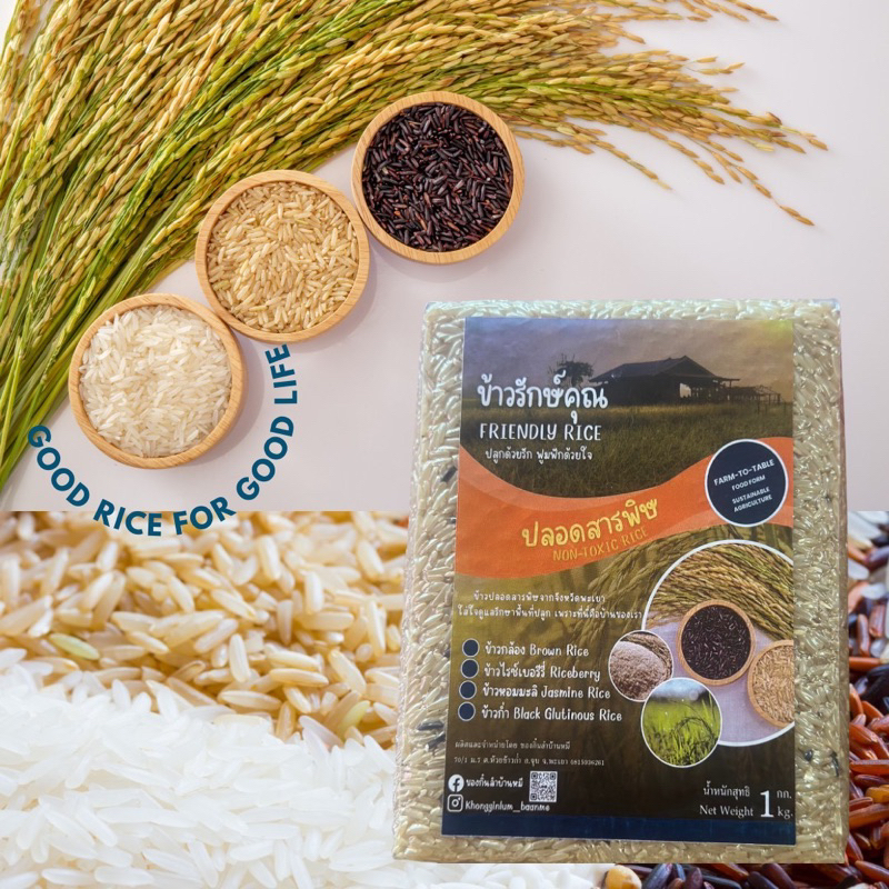 ข้าวรักษ์คุณ ข้าวกล้องหอมมะลิและไรซ์เบอรี่ ปลอดสารพิษ จากชาวนา มั่นใจ คุณภาพดี - ของกิ๋นลำบ้านหมี