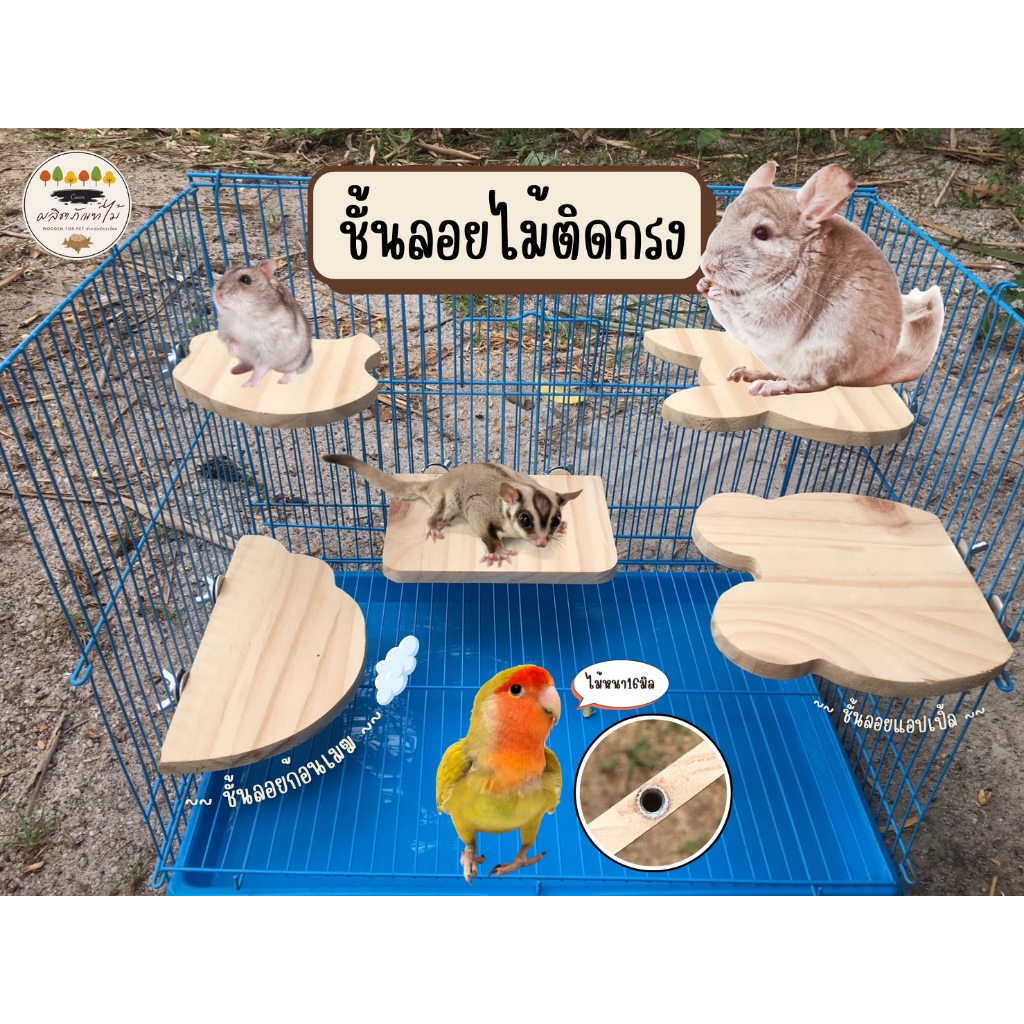 (พรีเมียม)ชั้นลอยไม้สัตว์เลี้ยง ติดกรง แผ่นหน้า 16 มิล แผ่นไม้ยึดกรง กระรอก ชูการ์ ชินชิล่า แฮมสเตอร์  ไร้สารเคลือบสีกัด