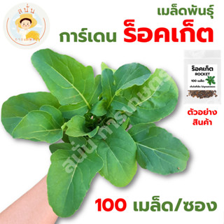 *ส่งด่วน* เมล็ดพันธุ์ การ์เดน ร็อคเก็ต Garden Rocket Lettuce Seed อลูกูล่า ปลูกผัก เมล็ดผัก เมล็ดพืช [1 ซอง 100 เมล็ด]