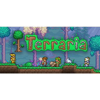 Terraria account 100%