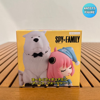 [พร้อมส่ง 3-5วัน] ฟิกเกอร์ ของแท้ (Lot 🇯🇵) Spy x Family Anya &amp; Bond Hold Figure