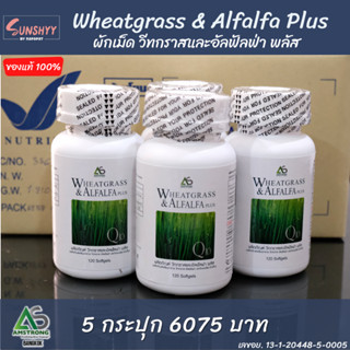 [5 กระปุก] Wheatgrass &amp; Alfalfa Plus ผักเม็ด อัลฟัลฟ่า สูตรดั้งเดิม Amstrong ของแท้ อาหารเสริมเพื่อสุขภาพ 120 แคปซูล