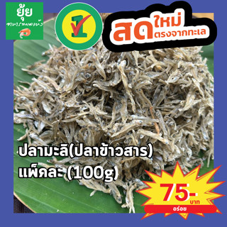 ปลาข้าวสาร หรือ ปลามะลิ เค็ม มัน กำลังดี 100g 200g 500g 1000g