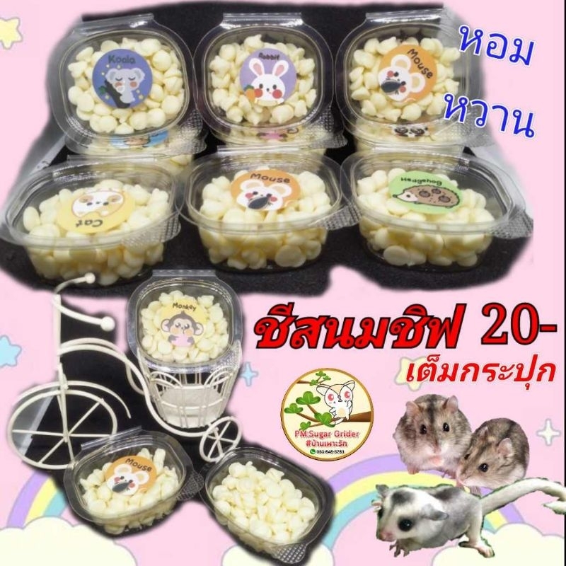 ชีสนมชิฟ ขนมแฮมส์เตอร์ ชูก้า และสัตว์ฟันแทะ หอมหวาน