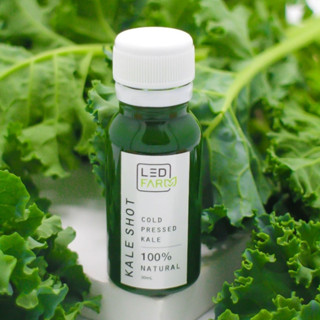 เคลช็อต น้ำผักเคลสกัดเย็น 100% (Kale Shot)