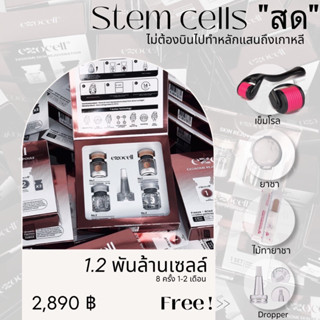 [L+tool+6330]แท้🇰🇷Exocell Exosome Reju Ampoule เอ็กโซโซมสด สเต็มเซลล์สด stemcellสด แอมพูล รูขุมขน ฝ้า ผิวกระจก ปลูกผม